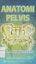 Anatomi Pelvis