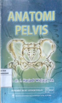 Anatomi Pelvis