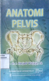 Image of Anatomi Pelvis